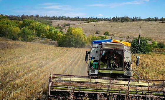 Поддержка фермеров и сельских семей – это не только вопрос продовольственной безопасности, но и фундамент для будущего восстановления украинских общин.
